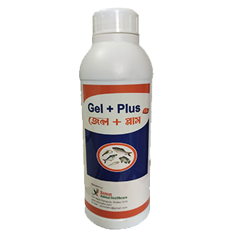 Gel_Plus